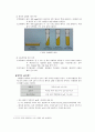 [미생물 의약품 실험] 토양 속 미생물 채취 및 배양, Streaking을 이용한 부차배양 (Subculture) 2페이지