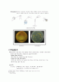 [미생물 의약품 실험] 토양 속 미생물 채취 및 배양, Streaking을 이용한 부차배양 (Subculture) 5페이지