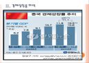 [중국경제] 중국경제의 미래와 한국의 영향.ppt 11페이지