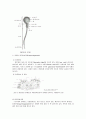 정자와_난자의_형성과정 5페이지