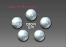 국내 기업들의 성공적인 CEO 분석 (CEO의 개념과 중요성, 성공적인 CEO 사례, 성공적인 CEO의 공통점, CEO,성주그룹,락앤락).PPT자료 39페이지