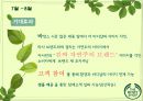 “사회적 공헌” THE BODY SHOP 하반기 Promotion 전략.PPT자료 24페이지