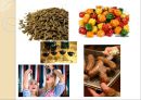[독일테마기행] 독일의 음식문화 - 독일음식문화의 역사부터 소시지 까지.ppt 8페이지