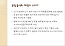 [독일테마기행] 독일의 음식문화 - 독일음식문화의 역사부터 소시지 까지.ppt 31페이지