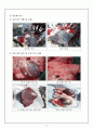 소(미숙우) 해부실습(실습계획서,결과보고서) 4페이지