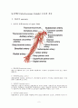 동정맥루(AVF : Arteriovenous fistula) 수술과 간호 2페이지