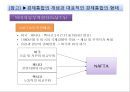 다국적기업의 역사적 배경 10페이지