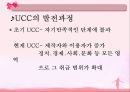 인터넷문화,UCC,마케팅,브랜드,브랜드마케팅,기업,서비스마케팅,글로벌,경영,시장,사례, 4페이지