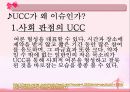 인터넷문화,UCC,마케팅,브랜드,브랜드마케팅,기업,서비스마케팅,글로벌,경영,시장,사례, 5페이지