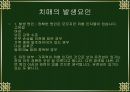 치매와 기능성 식품.PPT자료 9페이지