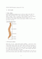 척추관협착증(spinal stenosis)과 치료 2페이지