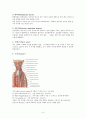 척추관협착증(spinal stenosis)과 치료 6페이지