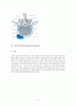 척추관협착증(spinal stenosis)과 치료 9페이지