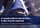 Organization sturucture & the Environment - Mechanistic & Organic Management Systems.PPT자료 1페이지