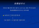 인터넷 언어의 이중성 (인터넷 언어의 등장, 유형, 원인, 기능, 10대들의 인터넷 언어).PPT자료 10페이지