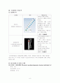 웰바스 (HISAVER) 기업 조사  6페이지