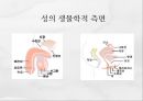 사랑과 성  13페이지