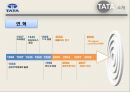 글로벌 M&A 전략을 통한 TATA 그룹의 성장,글로벌M&A,TATA그룹분석,TATA의엠엔에이,타타그룹분석 6페이지