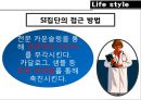 대한민국 여성소비자,여성라이프스타일,여성소비패턴,여성집단유형,여성집단특징,라이프스타일,여성소비자,여성마케팅,여자마케팅,여성소비마케팅 31페이지