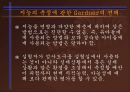 학습자의 개인차 - 지능  14페이지