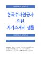 [한국수자원공사인턴자기소개서]2013한국수자원공사청년인턴자기소개서_한국수자원공사자기소개서_한국수자원공사자소서_한국수자원공사인턴채용자소서_한국수자원공사인턴합격자소서_한국수자원공사인턴자소서 1페이지