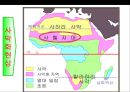 아프리카(Africa)에 대한 이해 및 현황 시장 진출전략.PPT자료 10페이지