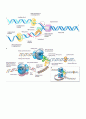 DNA합성 3페이지