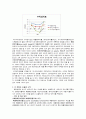 아시아나항공,대한항공,기업분석비교사례,마케팅,브랜드,브랜드마케팅,기업,서비스마케팅,글로벌,경영,시장,사례,swot,stp,4p 13페이지