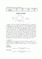 아시아나항공,대한항공,기업분석비교사례,마케팅,브랜드,브랜드마케팅,기업,서비스마케팅,글로벌,경영,시장,사례,swot,stp,4p 19페이지