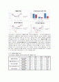 아시아나항공,대한항공,기업분석비교사례,마케팅,브랜드,브랜드마케팅,기업,서비스마케팅,글로벌,경영,시장,사례,swot,stp,4p 21페이지