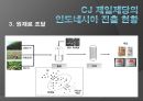 인도네시아,해외직접투자사례,해외진출사례,인도네시아시장진출전략과현황,인도해외진출사례,CJ제일제당인도진출 20페이지