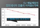 인도네시아,해외직접투자사례,해외진출사례,인도네시아시장진출전략과현황,인도해외진출사례,CJ제일제당인도진출 22페이지