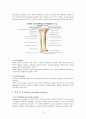 전방십자인대손상과 수술 3페이지