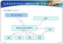 영리병원 도입 및 정책과졔(사회복지정책론) 17페이지