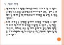 [방카슈랑스] 생명보험회사의 방카슈랑스 의존심화에 따른 영향.PPT자료 17페이지