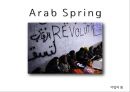 아랍혁명, 아랍의 봄, SNS와 정치, 혁명 11페이지