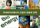 바이오에너지산업의 현황과 전략 1페이지