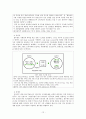 풀무원 마케팅전략 및 기업분석,풀무원,풀무원기업분석,풀무원마케팅 12페이지