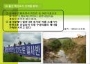 한국사회와 지역발전 및 환경문제,환경오염사례.환경오염,환경과지역발전,환경오염과정부,환경정책 12페이지