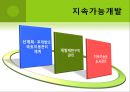 한국사회와 지역발전 및 환경문제,환경오염사례.환경오염,환경과지역발전,환경오염과정부,환경정책 18페이지