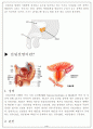 전립선염 3페이지