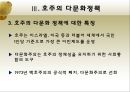한국의다문화정책,다문화사회,사회문제,사회이슈 29페이지