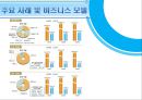 IT산업의 주요 비즈니스 모델 -SI산업중심으로 (IT산업,IT산업사례,IT산업정의및분류).PPT자료 21페이지