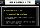 IBM,IBM해외진출현황,IBM다국적경영전략,아이비엠,다국적경영전략사례.PPT자료 19페이지