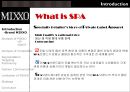 MIXXO_브랜드,패션마케팅,브랜드마케팅,서비스마케팅,글로벌경영,사례분석,swot,stp,4p.PPT자료 7페이지