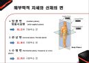 운동 역학 (골격근과부우별명칭,골격근분석,해부학적자세와신체의면).PPT자료 19페이지