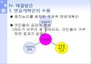 국민연금의 문제점과 다양한 해결방안,국민연금,국민연금문제점 17페이지