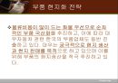 기업 성공 사례와 각국 시장진입전략,해외진출성공사례,해외진출성공기업,시장진입전략사례 15페이지