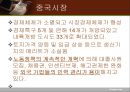 기업 성공 사례와 각국 시장진입전략,해외진출성공사례,해외진출성공기업,시장진입전략사례 24페이지