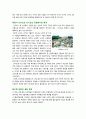 난지도매립지를 공원으로개발,월드컵공원의 마케팅성공사례,서울시의녹지화,난지도공원분석,에코마케팅,버즈마케팅,저가마케팅,체험마케팅 4페이지